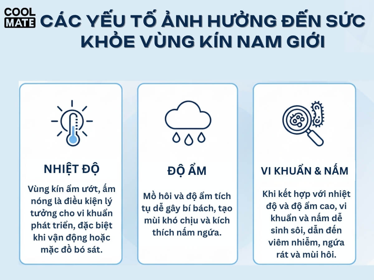 các yếu tố ảnh hưởng sức khỏe vùng kín nam giới